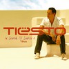 DJ Tiësto (DJ Tiesto): In Search Of Sunrise 6 (2007)