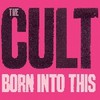 The Cult: Born Into This (2007)