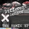 Dj Zsica: Different Senses - The Remix (2007)