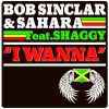 Bob Sinclar: I Wanna (Sahara feat. Shaggy) (2010)
