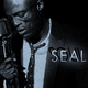 Ha szól a soul - érzelmes erő lakozik Seal torkában