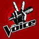 Beszólt a Voice Mestereinek: Hülyeséget ne beszéljen senki