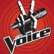 Érdekes hír a Voice döntője kapcsán