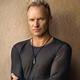 
	Sting saját musicaljében is hatalmas jelenség
