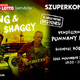  Sting és Shaggy Budapesten ad ingyenes koncertet