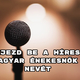 
	Itt a folytatás! Fejezd be a híres magyar énekesnők nevét - ezt nevetve oldod meg!

