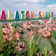 Lesz Balaton Sound 2025-ben? Íme a hivatalos válasz!