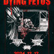 	Tengerentúli death metal hármas érkezik decemberben
