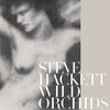 Steve Hackett: Wild Orchids (2006)