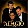 Adagio: Gold (2006)