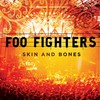 Foo Fighters: Skin and Bones (2006)
