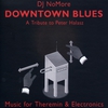 Najmányi László  (Dj NoMore): Downtown Blues (2006)