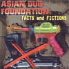 Asian Dub Foundation: Facts and Fictions (1995)