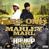 KRS One & Marley Marl: Hip-Hop Lives (2007)