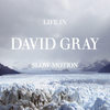 David Gray: Life In Slow Motion (2005)