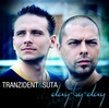 Tranzident (Váradi Balázs): Day-by-Day (2007)