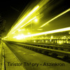 Tiristor Theory: Aszinkron (2007)