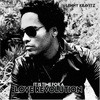 Lenny Kravitz: It Is Time For A Love Revolution (2008)