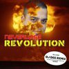 DJ Neverlose (Nédó Géza): Revolution (2009)