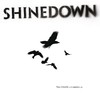 Shinedown: The Sound Of Madness (2008)