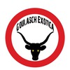 Goulasch Exotica: Betyárvizit (maxi) (2008)