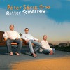 Sárik Péter Trió: Better Tomorrow (2008)