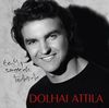 Dolhai Attila: Egy szerelem története (2008)