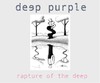 Deep Purple: Rapture of the Deep (2005)