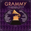 Válogatás / több előadó: Grammy Nominess 2009 (2009)