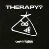 Therapy?: Crooked Timber (2009)