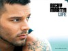 Ricky Martin: Life (2005)