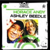 Horace Andy & Ashley Beedle: Inspiration Information (2009)