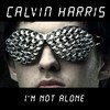 Calvin Harris (Adam Richard Wiles): I'm Not Alone  (2009)