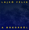 Lajkó Félix: A Bokorból (2009)