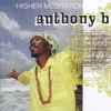 Anthony B: Higher Meditation (2007)