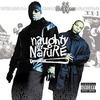 Naughty By Nature: IIcons (2002)