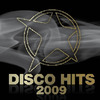 Válogatás / több előadó: Disco Hits 2009 (2009)