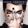 Adam Lambert: For Your Entertainment (2010)