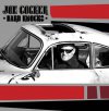 Joe Cocker: Hard Knocks (2010)