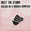 Meet the Storm: Sailing on a broken Compass (2010)