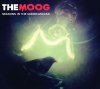 The Moog: Seasons In The Underground (2012)