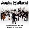 Jools Holland: Swinging the blues, dancing the ska (2006)