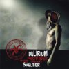 A Losing Season: Delirium Provides The Safest Shelter (2010)