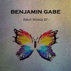 Benjamin Gabe: First Wings  (2016)