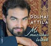 Dolhai Attila: Mi muzsikus lelkek  (2019)