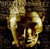 Space Monkeez: Inframind (2005)