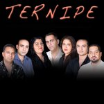 Ternipe