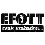 EFOTT (Egyetemisták és Főiskolások Országos Turisztikai Találkozója)